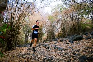 BIB: 
                            <button type="button" onclick="openModal(7221711)" class="btn btn-primary btn-sm float-right btn-popup" data-toggle="modal" data-target=".modal-high-quality">
                        <i class="fas fa-shopping-cart"></i> Add to Cart
                    </button>
                                            <button type="button" onclick="isThisMe(7221711, true)" class="btn btn-success btn-sm float-right btn-popup btn-isme hidden" data-toggle="tooltip" data-placement="bottom" title="นี่คือรูปของคุณใช่ไหม คลิกที่นี่เพื่อเอาเข้าอัลบั้ม">
                        <i class="fas fa-plus"></i> Add to album
                    </button>
                    <button type="button" onclick="isThisMe(7221711, false)" class="btn btn-warning btn-sm float-right btn-popup btn-isnotme hidden">
                        <i class="fas fa-ban"></i> Remove from album
                    </button>