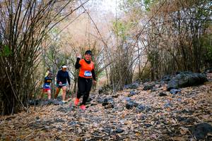 BIB: 
                            <button type="button" onclick="openModal(7222556)" class="btn btn-primary btn-sm float-right btn-popup" data-toggle="modal" data-target=".modal-high-quality">
                        <i class="fas fa-shopping-cart"></i> Add to Cart
                    </button>
                                            <button type="button" onclick="isThisMe(7222556, true)" class="btn btn-success btn-sm float-right btn-popup btn-isme hidden" data-toggle="tooltip" data-placement="bottom" title="นี่คือรูปของคุณใช่ไหม คลิกที่นี่เพื่อเอาเข้าอัลบั้ม">
                        <i class="fas fa-plus"></i> Add to album
                    </button>
                    <button type="button" onclick="isThisMe(7222556, false)" class="btn btn-warning btn-sm float-right btn-popup btn-isnotme hidden">
                        <i class="fas fa-ban"></i> Remove from album
                    </button>