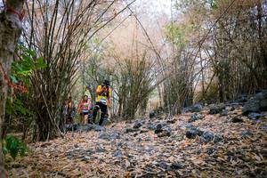 BIB: 
                            <button type="button" onclick="openModal(7222740)" class="btn btn-primary btn-sm float-right btn-popup" data-toggle="modal" data-target=".modal-high-quality">
                        <i class="fas fa-shopping-cart"></i> Add to Cart
                    </button>
                                            <button type="button" onclick="isThisMe(7222740, true)" class="btn btn-success btn-sm float-right btn-popup btn-isme hidden" data-toggle="tooltip" data-placement="bottom" title="นี่คือรูปของคุณใช่ไหม คลิกที่นี่เพื่อเอาเข้าอัลบั้ม">
                        <i class="fas fa-plus"></i> Add to album
                    </button>
                    <button type="button" onclick="isThisMe(7222740, false)" class="btn btn-warning btn-sm float-right btn-popup btn-isnotme hidden">
                        <i class="fas fa-ban"></i> Remove from album
                    </button>