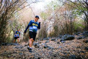 BIB: 
                            <button type="button" onclick="openModal(7223568)" class="btn btn-primary btn-sm float-right btn-popup" data-toggle="modal" data-target=".modal-high-quality">
                        <i class="fas fa-shopping-cart"></i> Add to Cart
                    </button>
                                            <button type="button" onclick="isThisMe(7223568, true)" class="btn btn-success btn-sm float-right btn-popup btn-isme hidden" data-toggle="tooltip" data-placement="bottom" title="นี่คือรูปของคุณใช่ไหม คลิกที่นี่เพื่อเอาเข้าอัลบั้ม">
                        <i class="fas fa-plus"></i> Add to album
                    </button>
                    <button type="button" onclick="isThisMe(7223568, false)" class="btn btn-warning btn-sm float-right btn-popup btn-isnotme hidden">
                        <i class="fas fa-ban"></i> Remove from album
                    </button>