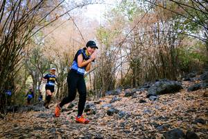 BIB: 
                            <button type="button" onclick="openModal(7222482)" class="btn btn-primary btn-sm float-right btn-popup" data-toggle="modal" data-target=".modal-high-quality">
                        <i class="fas fa-shopping-cart"></i> Add to Cart
                    </button>
                                            <button type="button" onclick="isThisMe(7222482, true)" class="btn btn-success btn-sm float-right btn-popup btn-isme hidden" data-toggle="tooltip" data-placement="bottom" title="นี่คือรูปของคุณใช่ไหม คลิกที่นี่เพื่อเอาเข้าอัลบั้ม">
                        <i class="fas fa-plus"></i> Add to album
                    </button>
                    <button type="button" onclick="isThisMe(7222482, false)" class="btn btn-warning btn-sm float-right btn-popup btn-isnotme hidden">
                        <i class="fas fa-ban"></i> Remove from album
                    </button>