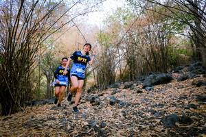 BIB: 
                            <button type="button" onclick="openModal(7221884)" class="btn btn-primary btn-sm float-right btn-popup" data-toggle="modal" data-target=".modal-high-quality">
                        <i class="fas fa-shopping-cart"></i> Add to Cart
                    </button>
                                            <button type="button" onclick="isThisMe(7221884, true)" class="btn btn-success btn-sm float-right btn-popup btn-isme hidden" data-toggle="tooltip" data-placement="bottom" title="นี่คือรูปของคุณใช่ไหม คลิกที่นี่เพื่อเอาเข้าอัลบั้ม">
                        <i class="fas fa-plus"></i> Add to album
                    </button>
                    <button type="button" onclick="isThisMe(7221884, false)" class="btn btn-warning btn-sm float-right btn-popup btn-isnotme hidden">
                        <i class="fas fa-ban"></i> Remove from album
                    </button>