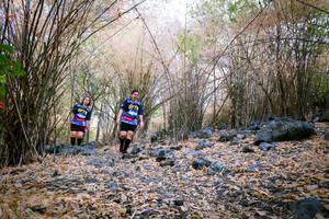 BIB: 
                            <button type="button" onclick="openModal(7223952)" class="btn btn-primary btn-sm float-right btn-popup" data-toggle="modal" data-target=".modal-high-quality">
                        <i class="fas fa-shopping-cart"></i> Add to Cart
                    </button>
                                            <button type="button" onclick="isThisMe(7223952, true)" class="btn btn-success btn-sm float-right btn-popup btn-isme hidden" data-toggle="tooltip" data-placement="bottom" title="นี่คือรูปของคุณใช่ไหม คลิกที่นี่เพื่อเอาเข้าอัลบั้ม">
                        <i class="fas fa-plus"></i> Add to album
                    </button>
                    <button type="button" onclick="isThisMe(7223952, false)" class="btn btn-warning btn-sm float-right btn-popup btn-isnotme hidden">
                        <i class="fas fa-ban"></i> Remove from album
                    </button>