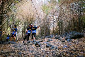 BIB: 
                            <button type="button" onclick="openModal(7223648)" class="btn btn-primary btn-sm float-right btn-popup" data-toggle="modal" data-target=".modal-high-quality">
                        <i class="fas fa-shopping-cart"></i> Add to Cart
                    </button>
                                            <button type="button" onclick="isThisMe(7223648, true)" class="btn btn-success btn-sm float-right btn-popup btn-isme hidden" data-toggle="tooltip" data-placement="bottom" title="นี่คือรูปของคุณใช่ไหม คลิกที่นี่เพื่อเอาเข้าอัลบั้ม">
                        <i class="fas fa-plus"></i> Add to album
                    </button>
                    <button type="button" onclick="isThisMe(7223648, false)" class="btn btn-warning btn-sm float-right btn-popup btn-isnotme hidden">
                        <i class="fas fa-ban"></i> Remove from album
                    </button>