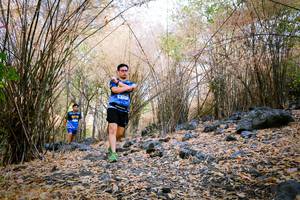 BIB: 
                            <button type="button" onclick="openModal(7223905)" class="btn btn-primary btn-sm float-right btn-popup" data-toggle="modal" data-target=".modal-high-quality">
                        <i class="fas fa-shopping-cart"></i> Add to Cart
                    </button>
                                            <button type="button" onclick="isThisMe(7223905, true)" class="btn btn-success btn-sm float-right btn-popup btn-isme hidden" data-toggle="tooltip" data-placement="bottom" title="นี่คือรูปของคุณใช่ไหม คลิกที่นี่เพื่อเอาเข้าอัลบั้ม">
                        <i class="fas fa-plus"></i> Add to album
                    </button>
                    <button type="button" onclick="isThisMe(7223905, false)" class="btn btn-warning btn-sm float-right btn-popup btn-isnotme hidden">
                        <i class="fas fa-ban"></i> Remove from album
                    </button>