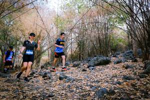 BIB: 
                            <button type="button" onclick="openModal(7222440)" class="btn btn-primary btn-sm float-right btn-popup" data-toggle="modal" data-target=".modal-high-quality">
                        <i class="fas fa-shopping-cart"></i> Add to Cart
                    </button>
                                            <button type="button" onclick="isThisMe(7222440, true)" class="btn btn-success btn-sm float-right btn-popup btn-isme hidden" data-toggle="tooltip" data-placement="bottom" title="นี่คือรูปของคุณใช่ไหม คลิกที่นี่เพื่อเอาเข้าอัลบั้ม">
                        <i class="fas fa-plus"></i> Add to album
                    </button>
                    <button type="button" onclick="isThisMe(7222440, false)" class="btn btn-warning btn-sm float-right btn-popup btn-isnotme hidden">
                        <i class="fas fa-ban"></i> Remove from album
                    </button>