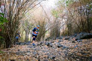 BIB: 
                            <button type="button" onclick="openModal(7223937)" class="btn btn-primary btn-sm float-right btn-popup" data-toggle="modal" data-target=".modal-high-quality">
                        <i class="fas fa-shopping-cart"></i> Add to Cart
                    </button>
                                            <button type="button" onclick="isThisMe(7223937, true)" class="btn btn-success btn-sm float-right btn-popup btn-isme hidden" data-toggle="tooltip" data-placement="bottom" title="นี่คือรูปของคุณใช่ไหม คลิกที่นี่เพื่อเอาเข้าอัลบั้ม">
                        <i class="fas fa-plus"></i> Add to album
                    </button>
                    <button type="button" onclick="isThisMe(7223937, false)" class="btn btn-warning btn-sm float-right btn-popup btn-isnotme hidden">
                        <i class="fas fa-ban"></i> Remove from album
                    </button>