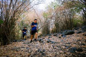 BIB: 
                            <button type="button" onclick="openModal(7221919)" class="btn btn-primary btn-sm float-right btn-popup" data-toggle="modal" data-target=".modal-high-quality">
                        <i class="fas fa-shopping-cart"></i> Add to Cart
                    </button>
                                            <button type="button" onclick="isThisMe(7221919, true)" class="btn btn-success btn-sm float-right btn-popup btn-isme hidden" data-toggle="tooltip" data-placement="bottom" title="นี่คือรูปของคุณใช่ไหม คลิกที่นี่เพื่อเอาเข้าอัลบั้ม">
                        <i class="fas fa-plus"></i> Add to album
                    </button>
                    <button type="button" onclick="isThisMe(7221919, false)" class="btn btn-warning btn-sm float-right btn-popup btn-isnotme hidden">
                        <i class="fas fa-ban"></i> Remove from album
                    </button>