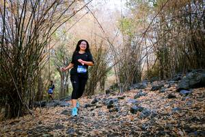 BIB: 
                            <button type="button" onclick="openModal(7222977)" class="btn btn-primary btn-sm float-right btn-popup" data-toggle="modal" data-target=".modal-high-quality">
                        <i class="fas fa-shopping-cart"></i> Add to Cart
                    </button>
                                            <button type="button" onclick="isThisMe(7222977, true)" class="btn btn-success btn-sm float-right btn-popup btn-isme hidden" data-toggle="tooltip" data-placement="bottom" title="นี่คือรูปของคุณใช่ไหม คลิกที่นี่เพื่อเอาเข้าอัลบั้ม">
                        <i class="fas fa-plus"></i> Add to album
                    </button>
                    <button type="button" onclick="isThisMe(7222977, false)" class="btn btn-warning btn-sm float-right btn-popup btn-isnotme hidden">
                        <i class="fas fa-ban"></i> Remove from album
                    </button>