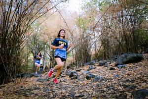 BIB: 
                            <button type="button" onclick="openModal(7222612)" class="btn btn-primary btn-sm float-right btn-popup" data-toggle="modal" data-target=".modal-high-quality">
                        <i class="fas fa-shopping-cart"></i> Add to Cart
                    </button>
                                            <button type="button" onclick="isThisMe(7222612, true)" class="btn btn-success btn-sm float-right btn-popup btn-isme hidden" data-toggle="tooltip" data-placement="bottom" title="นี่คือรูปของคุณใช่ไหม คลิกที่นี่เพื่อเอาเข้าอัลบั้ม">
                        <i class="fas fa-plus"></i> Add to album
                    </button>
                    <button type="button" onclick="isThisMe(7222612, false)" class="btn btn-warning btn-sm float-right btn-popup btn-isnotme hidden">
                        <i class="fas fa-ban"></i> Remove from album
                    </button>