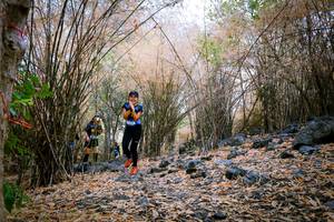 BIB: 
                            <button type="button" onclick="openModal(7222479)" class="btn btn-primary btn-sm float-right btn-popup" data-toggle="modal" data-target=".modal-high-quality">
                        <i class="fas fa-shopping-cart"></i> Add to Cart
                    </button>
                                            <button type="button" onclick="isThisMe(7222479, true)" class="btn btn-success btn-sm float-right btn-popup btn-isme hidden" data-toggle="tooltip" data-placement="bottom" title="นี่คือรูปของคุณใช่ไหม คลิกที่นี่เพื่อเอาเข้าอัลบั้ม">
                        <i class="fas fa-plus"></i> Add to album
                    </button>
                    <button type="button" onclick="isThisMe(7222479, false)" class="btn btn-warning btn-sm float-right btn-popup btn-isnotme hidden">
                        <i class="fas fa-ban"></i> Remove from album
                    </button>