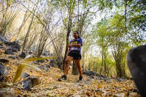 BIB: 
                            <button type="button" onclick="openModal(7241354)" class="btn btn-primary btn-sm float-right btn-popup" data-toggle="modal" data-target=".modal-high-quality">
                        <i class="fas fa-shopping-cart"></i> Add to Cart
                    </button>
                                            <button type="button" onclick="isThisMe(7241354, true)" class="btn btn-success btn-sm float-right btn-popup btn-isme hidden" data-toggle="tooltip" data-placement="bottom" title="นี่คือรูปของคุณใช่ไหม คลิกที่นี่เพื่อเอาเข้าอัลบั้ม">
                        <i class="fas fa-plus"></i> Add to album
                    </button>
                    <button type="button" onclick="isThisMe(7241354, false)" class="btn btn-warning btn-sm float-right btn-popup btn-isnotme hidden">
                        <i class="fas fa-ban"></i> Remove from album
                    </button>