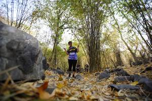 BIB: 
                            <button type="button" onclick="openModal(7189408)" class="btn btn-primary btn-sm float-right btn-popup" data-toggle="modal" data-target=".modal-high-quality">
                        <i class="fas fa-shopping-cart"></i> Add to Cart
                    </button>
                                            <button type="button" onclick="isThisMe(7189408, true)" class="btn btn-success btn-sm float-right btn-popup btn-isme hidden" data-toggle="tooltip" data-placement="bottom" title="นี่คือรูปของคุณใช่ไหม คลิกที่นี่เพื่อเอาเข้าอัลบั้ม">
                        <i class="fas fa-plus"></i> Add to album
                    </button>
                    <button type="button" onclick="isThisMe(7189408, false)" class="btn btn-warning btn-sm float-right btn-popup btn-isnotme hidden">
                        <i class="fas fa-ban"></i> Remove from album
                    </button>