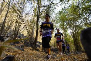 BIB: 7041
                            <button type="button" onclick="openModal(7189905)" class="btn btn-primary btn-sm float-right btn-popup" data-toggle="modal" data-target=".modal-high-quality">
                        <i class="fas fa-shopping-cart"></i> Add to Cart
                    </button>
                                            <button type="button" onclick="isThisMe(7189905, true)" class="btn btn-success btn-sm float-right btn-popup btn-isme hidden" data-toggle="tooltip" data-placement="bottom" title="นี่คือรูปของคุณใช่ไหม คลิกที่นี่เพื่อเอาเข้าอัลบั้ม">
                        <i class="fas fa-plus"></i> Add to album
                    </button>
                    <button type="button" onclick="isThisMe(7189905, false)" class="btn btn-warning btn-sm float-right btn-popup btn-isnotme hidden">
                        <i class="fas fa-ban"></i> Remove from album
                    </button>