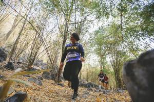 BIB: 7358
                            <button type="button" onclick="openModal(7239418)" class="btn btn-primary btn-sm float-right btn-popup" data-toggle="modal" data-target=".modal-high-quality">
                        <i class="fas fa-shopping-cart"></i> Add to Cart
                    </button>
                                            <button type="button" onclick="isThisMe(7239418, true)" class="btn btn-success btn-sm float-right btn-popup btn-isme hidden" data-toggle="tooltip" data-placement="bottom" title="นี่คือรูปของคุณใช่ไหม คลิกที่นี่เพื่อเอาเข้าอัลบั้ม">
                        <i class="fas fa-plus"></i> Add to album
                    </button>
                    <button type="button" onclick="isThisMe(7239418, false)" class="btn btn-warning btn-sm float-right btn-popup btn-isnotme hidden">
                        <i class="fas fa-ban"></i> Remove from album
                    </button>