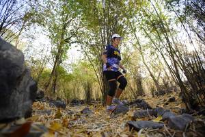 BIB: 
                            <button type="button" onclick="openModal(7189739)" class="btn btn-primary btn-sm float-right btn-popup" data-toggle="modal" data-target=".modal-high-quality">
                        <i class="fas fa-shopping-cart"></i> Add to Cart
                    </button>
                                            <button type="button" onclick="isThisMe(7189739, true)" class="btn btn-success btn-sm float-right btn-popup btn-isme hidden" data-toggle="tooltip" data-placement="bottom" title="นี่คือรูปของคุณใช่ไหม คลิกที่นี่เพื่อเอาเข้าอัลบั้ม">
                        <i class="fas fa-plus"></i> Add to album
                    </button>
                    <button type="button" onclick="isThisMe(7189739, false)" class="btn btn-warning btn-sm float-right btn-popup btn-isnotme hidden">
                        <i class="fas fa-ban"></i> Remove from album
                    </button>