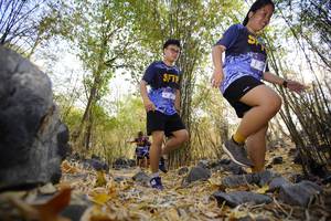 BIB: 
                            <button type="button" onclick="openModal(7239533)" class="btn btn-primary btn-sm float-right btn-popup" data-toggle="modal" data-target=".modal-high-quality">
                        <i class="fas fa-shopping-cart"></i> Add to Cart
                    </button>
                                            <button type="button" onclick="isThisMe(7239533, true)" class="btn btn-success btn-sm float-right btn-popup btn-isme hidden" data-toggle="tooltip" data-placement="bottom" title="นี่คือรูปของคุณใช่ไหม คลิกที่นี่เพื่อเอาเข้าอัลบั้ม">
                        <i class="fas fa-plus"></i> Add to album
                    </button>
                    <button type="button" onclick="isThisMe(7239533, false)" class="btn btn-warning btn-sm float-right btn-popup btn-isnotme hidden">
                        <i class="fas fa-ban"></i> Remove from album
                    </button>