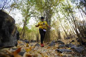 BIB: 
                            <button type="button" onclick="openModal(7189875)" class="btn btn-primary btn-sm float-right btn-popup" data-toggle="modal" data-target=".modal-high-quality">
                        <i class="fas fa-shopping-cart"></i> Add to Cart
                    </button>
                                            <button type="button" onclick="isThisMe(7189875, true)" class="btn btn-success btn-sm float-right btn-popup btn-isme hidden" data-toggle="tooltip" data-placement="bottom" title="นี่คือรูปของคุณใช่ไหม คลิกที่นี่เพื่อเอาเข้าอัลบั้ม">
                        <i class="fas fa-plus"></i> Add to album
                    </button>
                    <button type="button" onclick="isThisMe(7189875, false)" class="btn btn-warning btn-sm float-right btn-popup btn-isnotme hidden">
                        <i class="fas fa-ban"></i> Remove from album
                    </button>