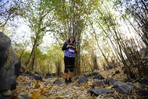 BIB: 
                            <button type="button" onclick="openModal(7190753)" class="btn btn-primary btn-sm float-right btn-popup" data-toggle="modal" data-target=".modal-high-quality">
                        <i class="fas fa-shopping-cart"></i> Add to Cart
                    </button>
                                            <button type="button" onclick="isThisMe(7190753, true)" class="btn btn-success btn-sm float-right btn-popup btn-isme hidden" data-toggle="tooltip" data-placement="bottom" title="นี่คือรูปของคุณใช่ไหม คลิกที่นี่เพื่อเอาเข้าอัลบั้ม">
                        <i class="fas fa-plus"></i> Add to album
                    </button>
                    <button type="button" onclick="isThisMe(7190753, false)" class="btn btn-warning btn-sm float-right btn-popup btn-isnotme hidden">
                        <i class="fas fa-ban"></i> Remove from album
                    </button>