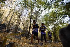 BIB: 
                            <button type="button" onclick="openModal(7189159)" class="btn btn-primary btn-sm float-right btn-popup" data-toggle="modal" data-target=".modal-high-quality">
                        <i class="fas fa-shopping-cart"></i> Add to Cart
                    </button>
                                            <button type="button" onclick="isThisMe(7189159, true)" class="btn btn-success btn-sm float-right btn-popup btn-isme hidden" data-toggle="tooltip" data-placement="bottom" title="นี่คือรูปของคุณใช่ไหม คลิกที่นี่เพื่อเอาเข้าอัลบั้ม">
                        <i class="fas fa-plus"></i> Add to album
                    </button>
                    <button type="button" onclick="isThisMe(7189159, false)" class="btn btn-warning btn-sm float-right btn-popup btn-isnotme hidden">
                        <i class="fas fa-ban"></i> Remove from album
                    </button>