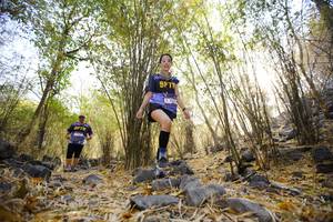 BIB: 
                            <button type="button" onclick="openModal(7189293)" class="btn btn-primary btn-sm float-right btn-popup" data-toggle="modal" data-target=".modal-high-quality">
                        <i class="fas fa-shopping-cart"></i> Add to Cart
                    </button>
                                            <button type="button" onclick="isThisMe(7189293, true)" class="btn btn-success btn-sm float-right btn-popup btn-isme hidden" data-toggle="tooltip" data-placement="bottom" title="นี่คือรูปของคุณใช่ไหม คลิกที่นี่เพื่อเอาเข้าอัลบั้ม">
                        <i class="fas fa-plus"></i> Add to album
                    </button>
                    <button type="button" onclick="isThisMe(7189293, false)" class="btn btn-warning btn-sm float-right btn-popup btn-isnotme hidden">
                        <i class="fas fa-ban"></i> Remove from album
                    </button>