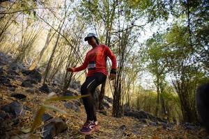 BIB: 
                            <button type="button" onclick="openModal(7190377)" class="btn btn-primary btn-sm float-right btn-popup" data-toggle="modal" data-target=".modal-high-quality">
                        <i class="fas fa-shopping-cart"></i> Add to Cart
                    </button>
                                            <button type="button" onclick="isThisMe(7190377, true)" class="btn btn-success btn-sm float-right btn-popup btn-isme hidden" data-toggle="tooltip" data-placement="bottom" title="นี่คือรูปของคุณใช่ไหม คลิกที่นี่เพื่อเอาเข้าอัลบั้ม">
                        <i class="fas fa-plus"></i> Add to album
                    </button>
                    <button type="button" onclick="isThisMe(7190377, false)" class="btn btn-warning btn-sm float-right btn-popup btn-isnotme hidden">
                        <i class="fas fa-ban"></i> Remove from album
                    </button>