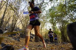 BIB: 
                            <button type="button" onclick="openModal(7190149)" class="btn btn-primary btn-sm float-right btn-popup" data-toggle="modal" data-target=".modal-high-quality">
                        <i class="fas fa-shopping-cart"></i> Add to Cart
                    </button>
                                            <button type="button" onclick="isThisMe(7190149, true)" class="btn btn-success btn-sm float-right btn-popup btn-isme hidden" data-toggle="tooltip" data-placement="bottom" title="นี่คือรูปของคุณใช่ไหม คลิกที่นี่เพื่อเอาเข้าอัลบั้ม">
                        <i class="fas fa-plus"></i> Add to album
                    </button>
                    <button type="button" onclick="isThisMe(7190149, false)" class="btn btn-warning btn-sm float-right btn-popup btn-isnotme hidden">
                        <i class="fas fa-ban"></i> Remove from album
                    </button>