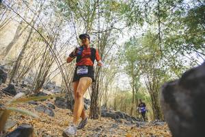 BIB: 7098
                            <button type="button" onclick="openModal(7239428)" class="btn btn-primary btn-sm float-right btn-popup" data-toggle="modal" data-target=".modal-high-quality">
                        <i class="fas fa-shopping-cart"></i> Add to Cart
                    </button>
                                            <button type="button" onclick="isThisMe(7239428, true)" class="btn btn-success btn-sm float-right btn-popup btn-isme hidden" data-toggle="tooltip" data-placement="bottom" title="นี่คือรูปของคุณใช่ไหม คลิกที่นี่เพื่อเอาเข้าอัลบั้ม">
                        <i class="fas fa-plus"></i> Add to album
                    </button>
                    <button type="button" onclick="isThisMe(7239428, false)" class="btn btn-warning btn-sm float-right btn-popup btn-isnotme hidden">
                        <i class="fas fa-ban"></i> Remove from album
                    </button>