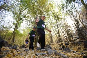 BIB: 
                            <button type="button" onclick="openModal(7190379)" class="btn btn-primary btn-sm float-right btn-popup" data-toggle="modal" data-target=".modal-high-quality">
                        <i class="fas fa-shopping-cart"></i> Add to Cart
                    </button>
                                            <button type="button" onclick="isThisMe(7190379, true)" class="btn btn-success btn-sm float-right btn-popup btn-isme hidden" data-toggle="tooltip" data-placement="bottom" title="นี่คือรูปของคุณใช่ไหม คลิกที่นี่เพื่อเอาเข้าอัลบั้ม">
                        <i class="fas fa-plus"></i> Add to album
                    </button>
                    <button type="button" onclick="isThisMe(7190379, false)" class="btn btn-warning btn-sm float-right btn-popup btn-isnotme hidden">
                        <i class="fas fa-ban"></i> Remove from album
                    </button>