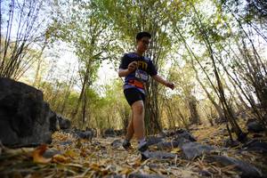 BIB: 
                            <button type="button" onclick="openModal(7190347)" class="btn btn-primary btn-sm float-right btn-popup" data-toggle="modal" data-target=".modal-high-quality">
                        <i class="fas fa-shopping-cart"></i> Add to Cart
                    </button>
                                            <button type="button" onclick="isThisMe(7190347, true)" class="btn btn-success btn-sm float-right btn-popup btn-isme hidden" data-toggle="tooltip" data-placement="bottom" title="นี่คือรูปของคุณใช่ไหม คลิกที่นี่เพื่อเอาเข้าอัลบั้ม">
                        <i class="fas fa-plus"></i> Add to album
                    </button>
                    <button type="button" onclick="isThisMe(7190347, false)" class="btn btn-warning btn-sm float-right btn-popup btn-isnotme hidden">
                        <i class="fas fa-ban"></i> Remove from album
                    </button>