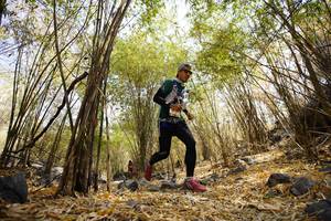 BIB: 
                            <button type="button" onclick="openModal(7241394)" class="btn btn-primary btn-sm float-right btn-popup" data-toggle="modal" data-target=".modal-high-quality">
                        <i class="fas fa-shopping-cart"></i> Add to Cart
                    </button>
                                            <button type="button" onclick="isThisMe(7241394, true)" class="btn btn-success btn-sm float-right btn-popup btn-isme hidden" data-toggle="tooltip" data-placement="bottom" title="นี่คือรูปของคุณใช่ไหม คลิกที่นี่เพื่อเอาเข้าอัลบั้ม">
                        <i class="fas fa-plus"></i> Add to album
                    </button>
                    <button type="button" onclick="isThisMe(7241394, false)" class="btn btn-warning btn-sm float-right btn-popup btn-isnotme hidden">
                        <i class="fas fa-ban"></i> Remove from album
                    </button>