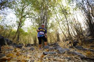 BIB: 
                            <button type="button" onclick="openModal(7189552)" class="btn btn-primary btn-sm float-right btn-popup" data-toggle="modal" data-target=".modal-high-quality">
                        <i class="fas fa-shopping-cart"></i> Add to Cart
                    </button>
                                            <button type="button" onclick="isThisMe(7189552, true)" class="btn btn-success btn-sm float-right btn-popup btn-isme hidden" data-toggle="tooltip" data-placement="bottom" title="นี่คือรูปของคุณใช่ไหม คลิกที่นี่เพื่อเอาเข้าอัลบั้ม">
                        <i class="fas fa-plus"></i> Add to album
                    </button>
                    <button type="button" onclick="isThisMe(7189552, false)" class="btn btn-warning btn-sm float-right btn-popup btn-isnotme hidden">
                        <i class="fas fa-ban"></i> Remove from album
                    </button>