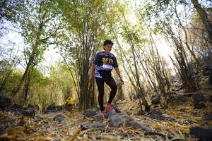 BIB: 
                            <button type="button" onclick="openModal(7240049)" class="btn btn-primary btn-sm float-right btn-popup" data-toggle="modal" data-target=".modal-high-quality">
                        <i class="fas fa-shopping-cart"></i> Add to Cart
                    </button>
                                            <button type="button" onclick="isThisMe(7240049, true)" class="btn btn-success btn-sm float-right btn-popup btn-isme hidden" data-toggle="tooltip" data-placement="bottom" title="นี่คือรูปของคุณใช่ไหม คลิกที่นี่เพื่อเอาเข้าอัลบั้ม">
                        <i class="fas fa-plus"></i> Add to album
                    </button>
                    <button type="button" onclick="isThisMe(7240049, false)" class="btn btn-warning btn-sm float-right btn-popup btn-isnotme hidden">
                        <i class="fas fa-ban"></i> Remove from album
                    </button>