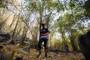 BIB: 
                            <button type="button" onclick="openModal(7190433)" class="btn btn-primary btn-sm float-right btn-popup" data-toggle="modal" data-target=".modal-high-quality">
                        <i class="fas fa-shopping-cart"></i> Add to Cart
                    </button>
                                            <button type="button" onclick="isThisMe(7190433, true)" class="btn btn-success btn-sm float-right btn-popup btn-isme hidden" data-toggle="tooltip" data-placement="bottom" title="นี่คือรูปของคุณใช่ไหม คลิกที่นี่เพื่อเอาเข้าอัลบั้ม">
                        <i class="fas fa-plus"></i> Add to album
                    </button>
                    <button type="button" onclick="isThisMe(7190433, false)" class="btn btn-warning btn-sm float-right btn-popup btn-isnotme hidden">
                        <i class="fas fa-ban"></i> Remove from album
                    </button>