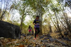 BIB: 
                            <button type="button" onclick="openModal(7191178)" class="btn btn-primary btn-sm float-right btn-popup" data-toggle="modal" data-target=".modal-high-quality">
                        <i class="fas fa-shopping-cart"></i> Add to Cart
                    </button>
                                            <button type="button" onclick="isThisMe(7191178, true)" class="btn btn-success btn-sm float-right btn-popup btn-isme hidden" data-toggle="tooltip" data-placement="bottom" title="นี่คือรูปของคุณใช่ไหม คลิกที่นี่เพื่อเอาเข้าอัลบั้ม">
                        <i class="fas fa-plus"></i> Add to album
                    </button>
                    <button type="button" onclick="isThisMe(7191178, false)" class="btn btn-warning btn-sm float-right btn-popup btn-isnotme hidden">
                        <i class="fas fa-ban"></i> Remove from album
                    </button>