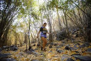 BIB: 
                            <button type="button" onclick="openModal(7239534)" class="btn btn-primary btn-sm float-right btn-popup" data-toggle="modal" data-target=".modal-high-quality">
                        <i class="fas fa-shopping-cart"></i> Add to Cart
                    </button>
                                            <button type="button" onclick="isThisMe(7239534, true)" class="btn btn-success btn-sm float-right btn-popup btn-isme hidden" data-toggle="tooltip" data-placement="bottom" title="นี่คือรูปของคุณใช่ไหม คลิกที่นี่เพื่อเอาเข้าอัลบั้ม">
                        <i class="fas fa-plus"></i> Add to album
                    </button>
                    <button type="button" onclick="isThisMe(7239534, false)" class="btn btn-warning btn-sm float-right btn-popup btn-isnotme hidden">
                        <i class="fas fa-ban"></i> Remove from album
                    </button>