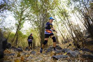 BIB: 
                            <button type="button" onclick="openModal(7190544)" class="btn btn-primary btn-sm float-right btn-popup" data-toggle="modal" data-target=".modal-high-quality">
                        <i class="fas fa-shopping-cart"></i> Add to Cart
                    </button>
                                            <button type="button" onclick="isThisMe(7190544, true)" class="btn btn-success btn-sm float-right btn-popup btn-isme hidden" data-toggle="tooltip" data-placement="bottom" title="นี่คือรูปของคุณใช่ไหม คลิกที่นี่เพื่อเอาเข้าอัลบั้ม">
                        <i class="fas fa-plus"></i> Add to album
                    </button>
                    <button type="button" onclick="isThisMe(7190544, false)" class="btn btn-warning btn-sm float-right btn-popup btn-isnotme hidden">
                        <i class="fas fa-ban"></i> Remove from album
                    </button>