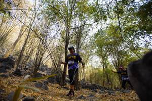 BIB: 
                            <button type="button" onclick="openModal(7191207)" class="btn btn-primary btn-sm float-right btn-popup" data-toggle="modal" data-target=".modal-high-quality">
                        <i class="fas fa-shopping-cart"></i> Add to Cart
                    </button>
                                            <button type="button" onclick="isThisMe(7191207, true)" class="btn btn-success btn-sm float-right btn-popup btn-isme hidden" data-toggle="tooltip" data-placement="bottom" title="นี่คือรูปของคุณใช่ไหม คลิกที่นี่เพื่อเอาเข้าอัลบั้ม">
                        <i class="fas fa-plus"></i> Add to album
                    </button>
                    <button type="button" onclick="isThisMe(7191207, false)" class="btn btn-warning btn-sm float-right btn-popup btn-isnotme hidden">
                        <i class="fas fa-ban"></i> Remove from album
                    </button>