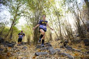 BIB: 
                            <button type="button" onclick="openModal(7189077)" class="btn btn-primary btn-sm float-right btn-popup" data-toggle="modal" data-target=".modal-high-quality">
                        <i class="fas fa-shopping-cart"></i> Add to Cart
                    </button>
                                            <button type="button" onclick="isThisMe(7189077, true)" class="btn btn-success btn-sm float-right btn-popup btn-isme hidden" data-toggle="tooltip" data-placement="bottom" title="นี่คือรูปของคุณใช่ไหม คลิกที่นี่เพื่อเอาเข้าอัลบั้ม">
                        <i class="fas fa-plus"></i> Add to album
                    </button>
                    <button type="button" onclick="isThisMe(7189077, false)" class="btn btn-warning btn-sm float-right btn-popup btn-isnotme hidden">
                        <i class="fas fa-ban"></i> Remove from album
                    </button>