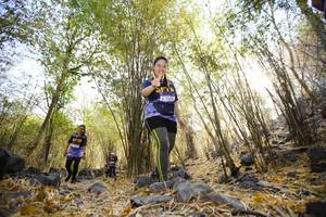 BIB: 
                            <button type="button" onclick="openModal(7240046)" class="btn btn-primary btn-sm float-right btn-popup" data-toggle="modal" data-target=".modal-high-quality">
                        <i class="fas fa-shopping-cart"></i> Add to Cart
                    </button>
                                            <button type="button" onclick="isThisMe(7240046, true)" class="btn btn-success btn-sm float-right btn-popup btn-isme hidden" data-toggle="tooltip" data-placement="bottom" title="นี่คือรูปของคุณใช่ไหม คลิกที่นี่เพื่อเอาเข้าอัลบั้ม">
                        <i class="fas fa-plus"></i> Add to album
                    </button>
                    <button type="button" onclick="isThisMe(7240046, false)" class="btn btn-warning btn-sm float-right btn-popup btn-isnotme hidden">
                        <i class="fas fa-ban"></i> Remove from album
                    </button>