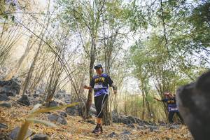 BIB: 
                            <button type="button" onclick="openModal(7241351)" class="btn btn-primary btn-sm float-right btn-popup" data-toggle="modal" data-target=".modal-high-quality">
                        <i class="fas fa-shopping-cart"></i> Add to Cart
                    </button>
                                            <button type="button" onclick="isThisMe(7241351, true)" class="btn btn-success btn-sm float-right btn-popup btn-isme hidden" data-toggle="tooltip" data-placement="bottom" title="นี่คือรูปของคุณใช่ไหม คลิกที่นี่เพื่อเอาเข้าอัลบั้ม">
                        <i class="fas fa-plus"></i> Add to album
                    </button>
                    <button type="button" onclick="isThisMe(7241351, false)" class="btn btn-warning btn-sm float-right btn-popup btn-isnotme hidden">
                        <i class="fas fa-ban"></i> Remove from album
                    </button>