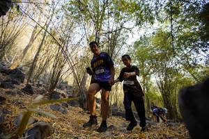 BIB: 7401, 3001
                            <button type="button" onclick="openModal(7190971)" class="btn btn-primary btn-sm float-right btn-popup" data-toggle="modal" data-target=".modal-high-quality">
                        <i class="fas fa-shopping-cart"></i> Add to Cart
                    </button>
                                            <button type="button" onclick="isThisMe(7190971, true)" class="btn btn-success btn-sm float-right btn-popup btn-isme hidden" data-toggle="tooltip" data-placement="bottom" title="นี่คือรูปของคุณใช่ไหม คลิกที่นี่เพื่อเอาเข้าอัลบั้ม">
                        <i class="fas fa-plus"></i> Add to album
                    </button>
                    <button type="button" onclick="isThisMe(7190971, false)" class="btn btn-warning btn-sm float-right btn-popup btn-isnotme hidden">
                        <i class="fas fa-ban"></i> Remove from album
                    </button>