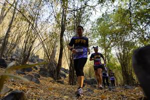 BIB: 7041
                            <button type="button" onclick="openModal(7190880)" class="btn btn-primary btn-sm float-right btn-popup" data-toggle="modal" data-target=".modal-high-quality">
                        <i class="fas fa-shopping-cart"></i> Add to Cart
                    </button>
                                            <button type="button" onclick="isThisMe(7190880, true)" class="btn btn-success btn-sm float-right btn-popup btn-isme hidden" data-toggle="tooltip" data-placement="bottom" title="นี่คือรูปของคุณใช่ไหม คลิกที่นี่เพื่อเอาเข้าอัลบั้ม">
                        <i class="fas fa-plus"></i> Add to album
                    </button>
                    <button type="button" onclick="isThisMe(7190880, false)" class="btn btn-warning btn-sm float-right btn-popup btn-isnotme hidden">
                        <i class="fas fa-ban"></i> Remove from album
                    </button>