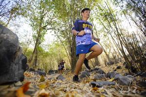 BIB: 
                            <button type="button" onclick="openModal(7189075)" class="btn btn-primary btn-sm float-right btn-popup" data-toggle="modal" data-target=".modal-high-quality">
                        <i class="fas fa-shopping-cart"></i> Add to Cart
                    </button>
                                            <button type="button" onclick="isThisMe(7189075, true)" class="btn btn-success btn-sm float-right btn-popup btn-isme hidden" data-toggle="tooltip" data-placement="bottom" title="นี่คือรูปของคุณใช่ไหม คลิกที่นี่เพื่อเอาเข้าอัลบั้ม">
                        <i class="fas fa-plus"></i> Add to album
                    </button>
                    <button type="button" onclick="isThisMe(7189075, false)" class="btn btn-warning btn-sm float-right btn-popup btn-isnotme hidden">
                        <i class="fas fa-ban"></i> Remove from album
                    </button>