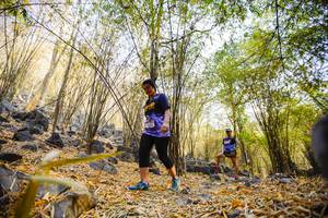 BIB: 
                            <button type="button" onclick="openModal(7241353)" class="btn btn-primary btn-sm float-right btn-popup" data-toggle="modal" data-target=".modal-high-quality">
                        <i class="fas fa-shopping-cart"></i> Add to Cart
                    </button>
                                            <button type="button" onclick="isThisMe(7241353, true)" class="btn btn-success btn-sm float-right btn-popup btn-isme hidden" data-toggle="tooltip" data-placement="bottom" title="นี่คือรูปของคุณใช่ไหม คลิกที่นี่เพื่อเอาเข้าอัลบั้ม">
                        <i class="fas fa-plus"></i> Add to album
                    </button>
                    <button type="button" onclick="isThisMe(7241353, false)" class="btn btn-warning btn-sm float-right btn-popup btn-isnotme hidden">
                        <i class="fas fa-ban"></i> Remove from album
                    </button>