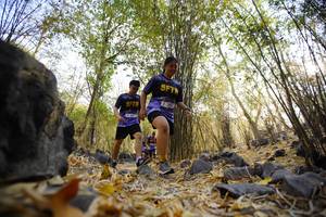 BIB: 
                            <button type="button" onclick="openModal(7191146)" class="btn btn-primary btn-sm float-right btn-popup" data-toggle="modal" data-target=".modal-high-quality">
                        <i class="fas fa-shopping-cart"></i> Add to Cart
                    </button>
                                            <button type="button" onclick="isThisMe(7191146, true)" class="btn btn-success btn-sm float-right btn-popup btn-isme hidden" data-toggle="tooltip" data-placement="bottom" title="นี่คือรูปของคุณใช่ไหม คลิกที่นี่เพื่อเอาเข้าอัลบั้ม">
                        <i class="fas fa-plus"></i> Add to album
                    </button>
                    <button type="button" onclick="isThisMe(7191146, false)" class="btn btn-warning btn-sm float-right btn-popup btn-isnotme hidden">
                        <i class="fas fa-ban"></i> Remove from album
                    </button>