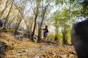 BIB: 
                            <button type="button" onclick="openModal(7239275)" class="btn btn-primary btn-sm float-right btn-popup" data-toggle="modal" data-target=".modal-high-quality">
                        <i class="fas fa-shopping-cart"></i> Add to Cart
                    </button>
                                            <button type="button" onclick="isThisMe(7239275, true)" class="btn btn-success btn-sm float-right btn-popup btn-isme hidden" data-toggle="tooltip" data-placement="bottom" title="นี่คือรูปของคุณใช่ไหม คลิกที่นี่เพื่อเอาเข้าอัลบั้ม">
                        <i class="fas fa-plus"></i> Add to album
                    </button>
                    <button type="button" onclick="isThisMe(7239275, false)" class="btn btn-warning btn-sm float-right btn-popup btn-isnotme hidden">
                        <i class="fas fa-ban"></i> Remove from album
                    </button>