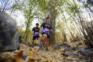 BIB: 
                            <button type="button" onclick="openModal(7190884)" class="btn btn-primary btn-sm float-right btn-popup" data-toggle="modal" data-target=".modal-high-quality">
                        <i class="fas fa-shopping-cart"></i> Add to Cart
                    </button>
                                            <button type="button" onclick="isThisMe(7190884, true)" class="btn btn-success btn-sm float-right btn-popup btn-isme hidden" data-toggle="tooltip" data-placement="bottom" title="นี่คือรูปของคุณใช่ไหม คลิกที่นี่เพื่อเอาเข้าอัลบั้ม">
                        <i class="fas fa-plus"></i> Add to album
                    </button>
                    <button type="button" onclick="isThisMe(7190884, false)" class="btn btn-warning btn-sm float-right btn-popup btn-isnotme hidden">
                        <i class="fas fa-ban"></i> Remove from album
                    </button>