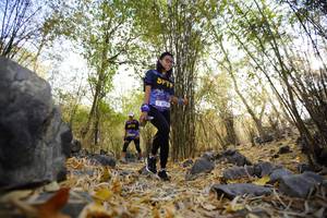 BIB: 
                            <button type="button" onclick="openModal(7239505)" class="btn btn-primary btn-sm float-right btn-popup" data-toggle="modal" data-target=".modal-high-quality">
                        <i class="fas fa-shopping-cart"></i> Add to Cart
                    </button>
                                            <button type="button" onclick="isThisMe(7239505, true)" class="btn btn-success btn-sm float-right btn-popup btn-isme hidden" data-toggle="tooltip" data-placement="bottom" title="นี่คือรูปของคุณใช่ไหม คลิกที่นี่เพื่อเอาเข้าอัลบั้ม">
                        <i class="fas fa-plus"></i> Add to album
                    </button>
                    <button type="button" onclick="isThisMe(7239505, false)" class="btn btn-warning btn-sm float-right btn-popup btn-isnotme hidden">
                        <i class="fas fa-ban"></i> Remove from album
                    </button>