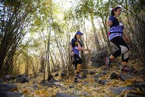 BIB: 
                            <button type="button" onclick="openModal(7190754)" class="btn btn-primary btn-sm float-right btn-popup" data-toggle="modal" data-target=".modal-high-quality">
                        <i class="fas fa-shopping-cart"></i> Add to Cart
                    </button>
                                            <button type="button" onclick="isThisMe(7190754, true)" class="btn btn-success btn-sm float-right btn-popup btn-isme hidden" data-toggle="tooltip" data-placement="bottom" title="นี่คือรูปของคุณใช่ไหม คลิกที่นี่เพื่อเอาเข้าอัลบั้ม">
                        <i class="fas fa-plus"></i> Add to album
                    </button>
                    <button type="button" onclick="isThisMe(7190754, false)" class="btn btn-warning btn-sm float-right btn-popup btn-isnotme hidden">
                        <i class="fas fa-ban"></i> Remove from album
                    </button>